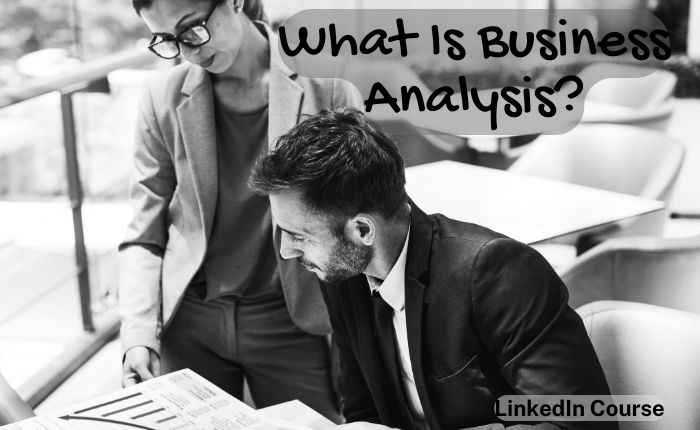 What Is Business Analysis?